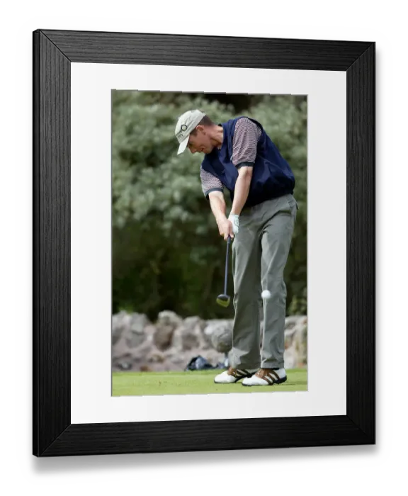 Framed Print : David Park Framed Print : David Park
