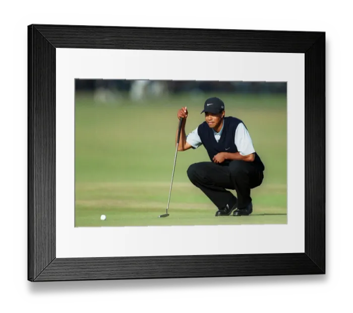 Framed Print : Tiger Woods Framed Print : Tiger Woods