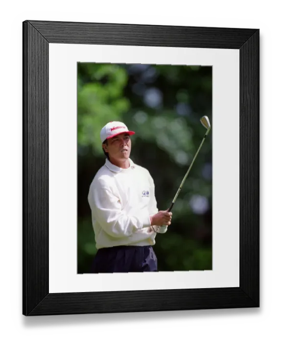 Framed Print : Lian-Wei Zhang Framed Print : Lian-Wei Zhang