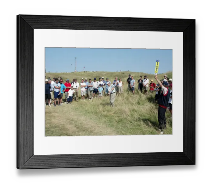 Framed Print : Andrew Oldcorn Framed Print : Andrew Oldcorn
