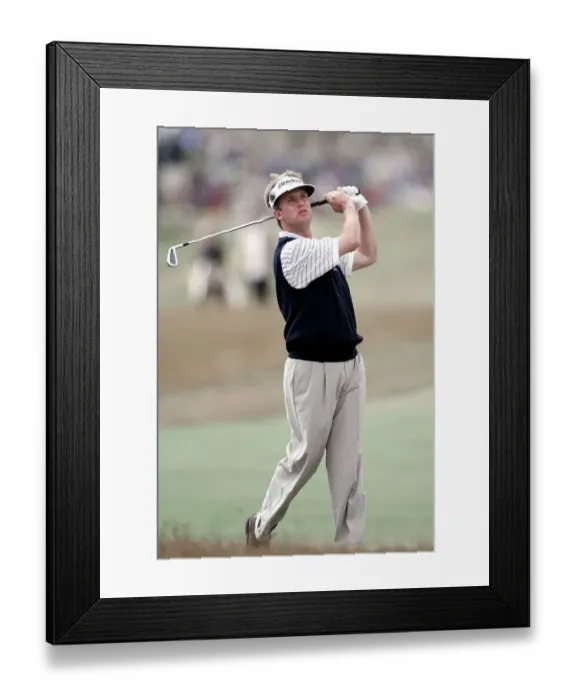 Framed Print : David Toms Framed Print : David Toms