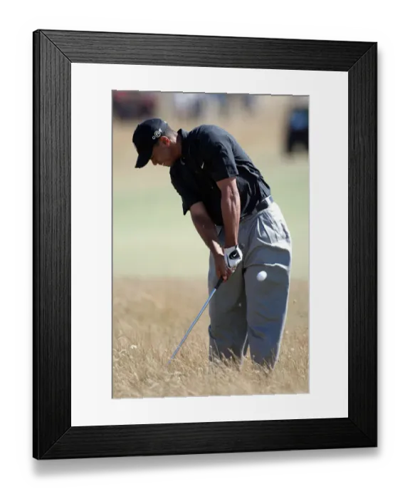 Framed Print : Tiger Woods Framed Print : Tiger Woods
