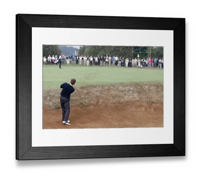 Framed Print : Michael Skelton Framed Print : Michael Skelton