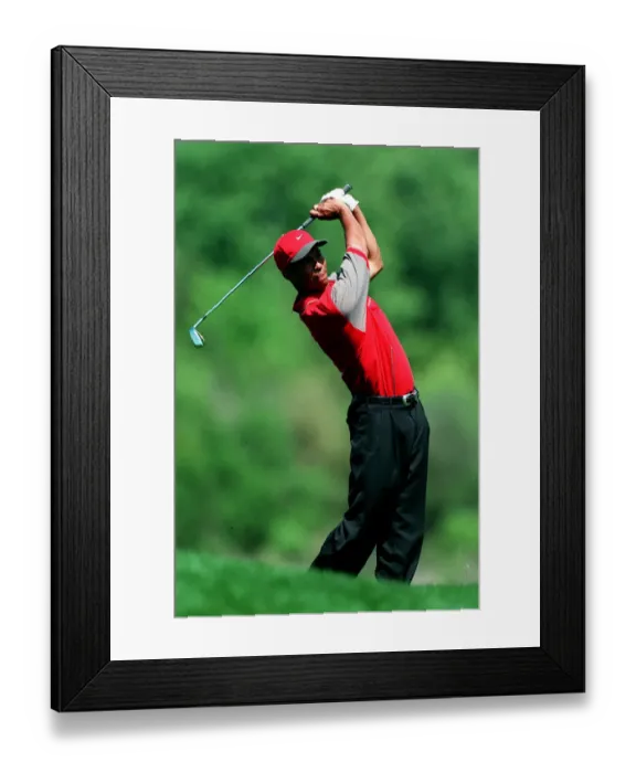 Framed Print : Tiger Woods Framed Print : Tiger Woods
