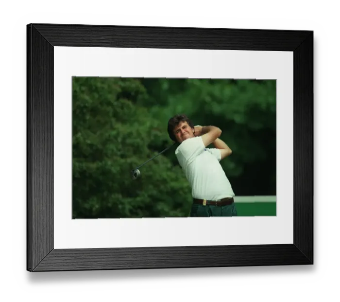 Framed Print : Michele Reale Framed Print : Michele Reale