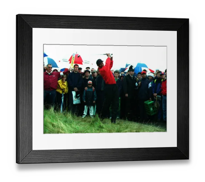 Framed Print : Tiger Woods Framed Print : Tiger Woods