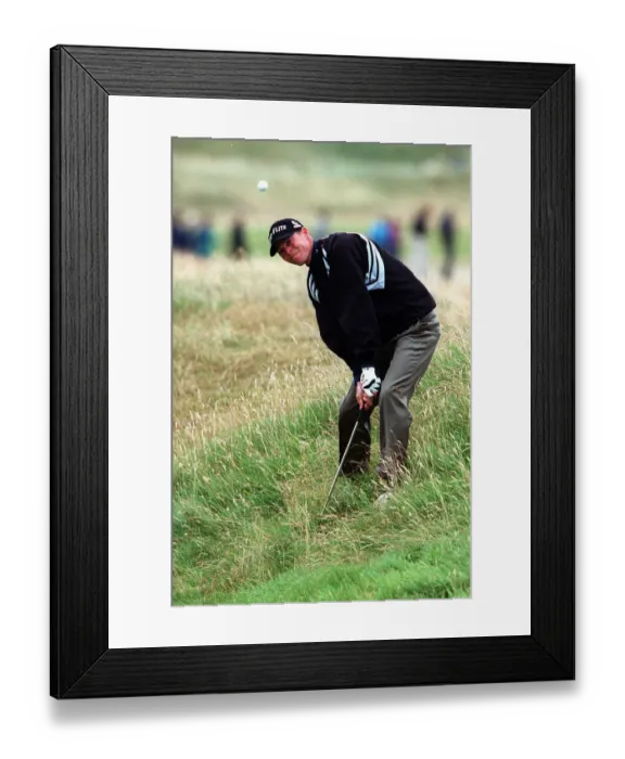 Framed Print : David Carter Framed Print : David Carter