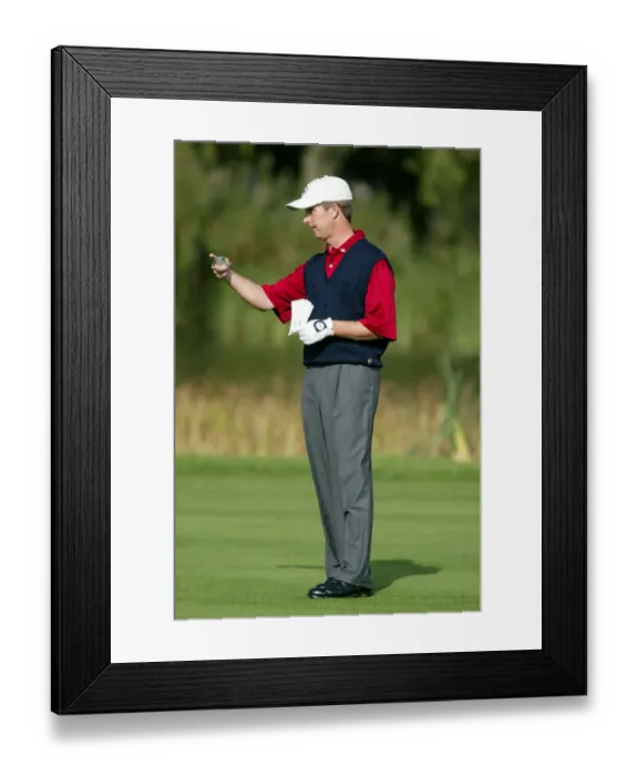 Framed Print : David Toms