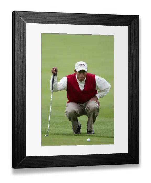 Framed Print : Tiger Woods Framed Print : Tiger Woods