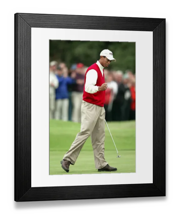 Framed Print : Tiger Woods Framed Print : Tiger Woods