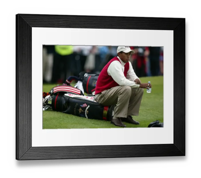 Framed Print : Tiger Woods