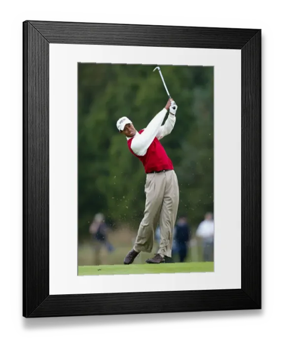 Framed Print : Tiger Woods Framed Print : Tiger Woods