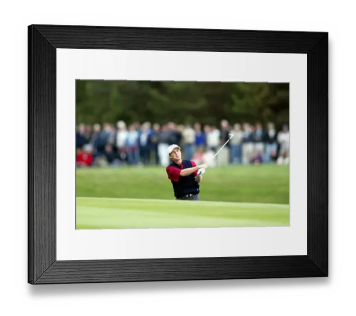 Framed Print : David Toms Framed Print : David Toms