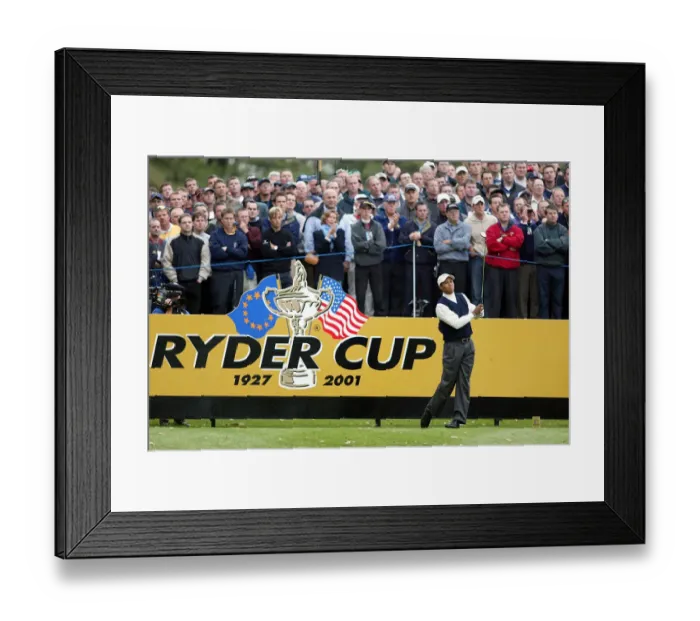 Framed Print : Tiger Woods Framed Print : Tiger Woods