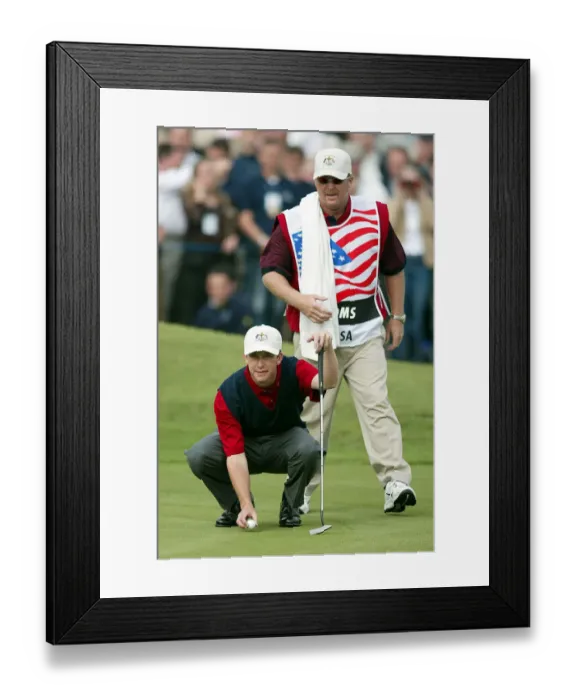 Framed Print : David Toms Framed Print : David Toms