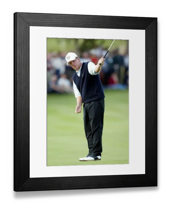 Framed Print : Niclas Fasth