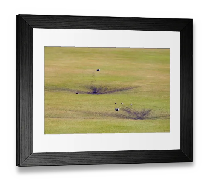 Framed Print : Purple Eggs On Green Framed Print : Purple Eggs On Green