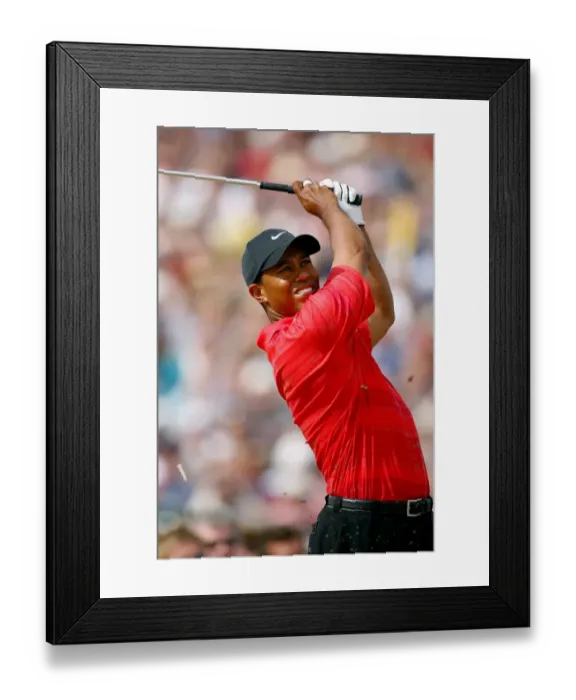 Framed Print : Tiger Woods Framed Print : Tiger Woods