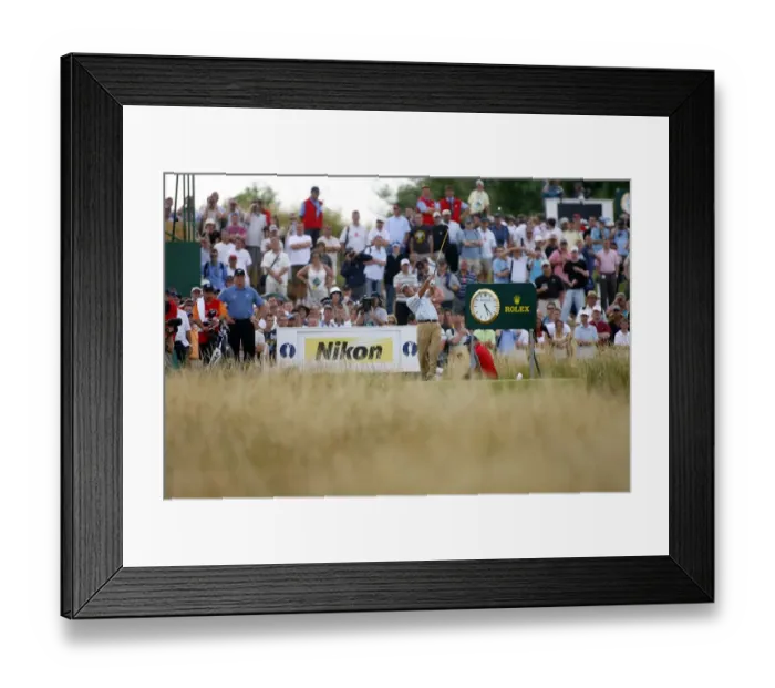 Framed Print : Chris Dimarco Framed Print : Chris Dimarco