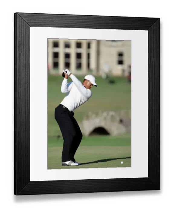 Framed Print : Tiger Woods Framed Print : Tiger Woods