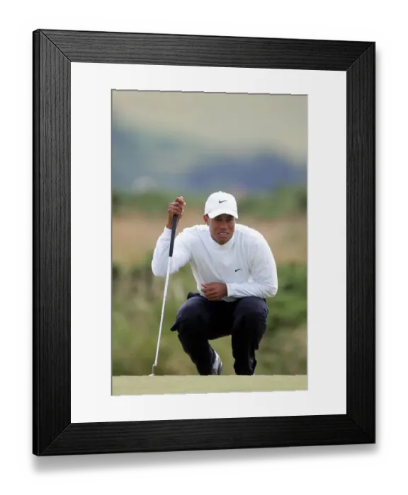 Framed Print : Tiger Woods Framed Print : Tiger Woods