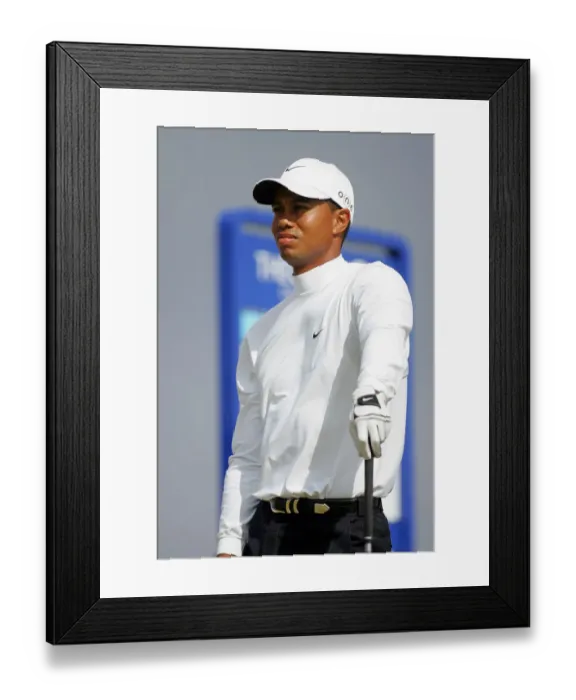Framed Print : Tiger Woods Framed Print : Tiger Woods