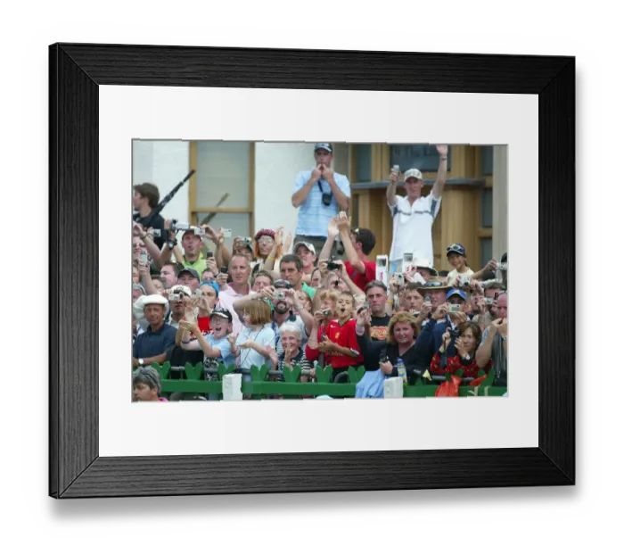 Framed Print : Spectators Celebrating Framed Print : Spectators Celebrating