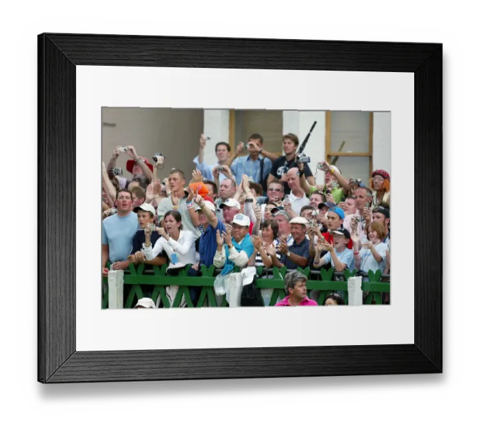 Framed Print : Spectators Celebrating Framed Print : Spectators Celebrating