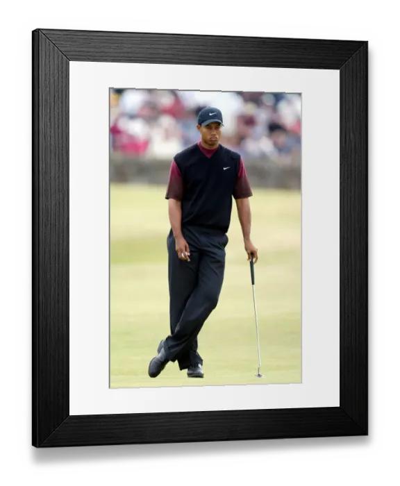 Framed Print : Tiger Woods Framed Print : Tiger Woods