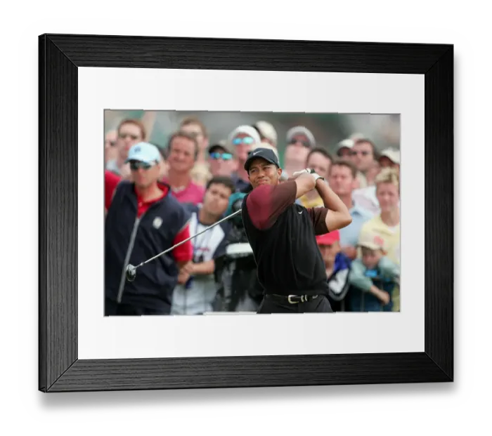 Framed Print : Tiger Woods Framed Print : Tiger Woods
