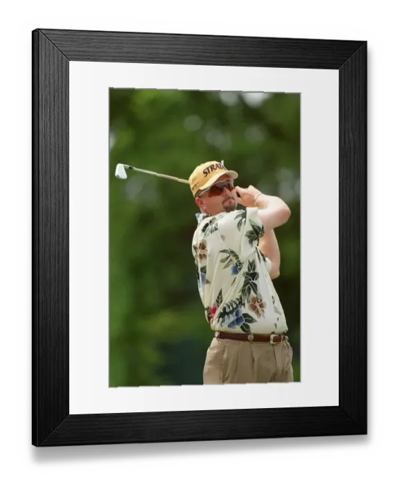 Framed Print : Dennis Paulson Framed Print : Dennis Paulson
