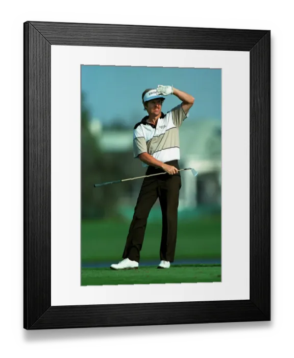 Framed Print : Wayne Levi