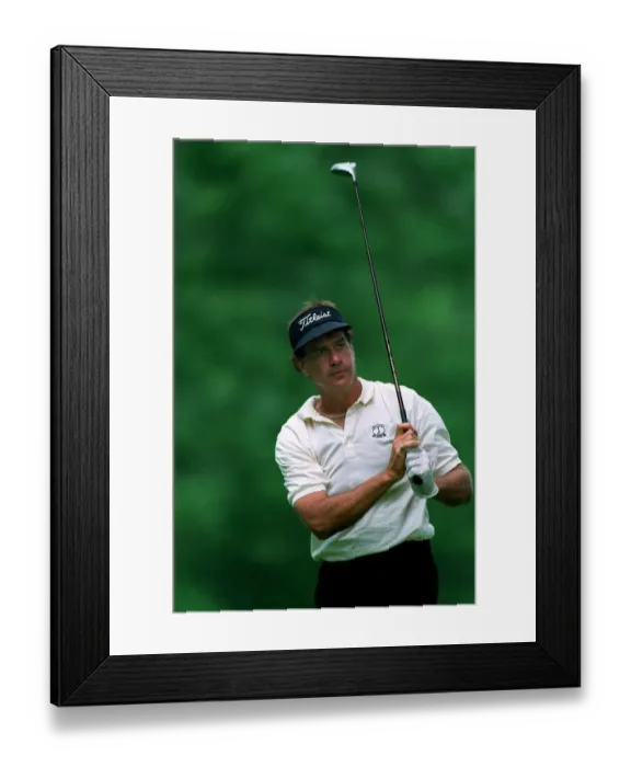 Framed Print : Bruce Fleisher