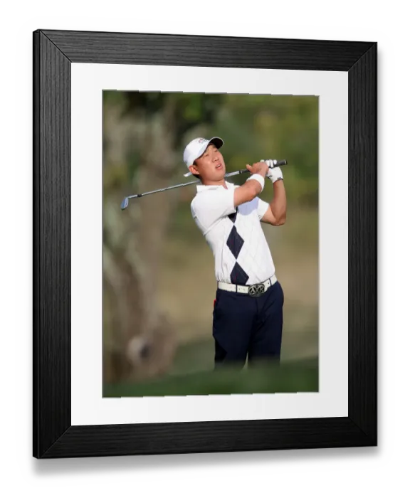 Framed Print : Anthony Kim Framed Print : Anthony Kim