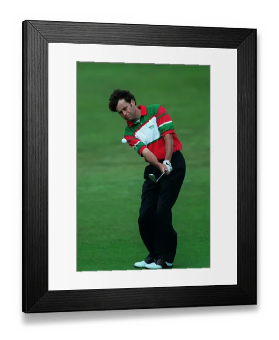 Framed Print : Mark Davis Framed Print : Mark Davis