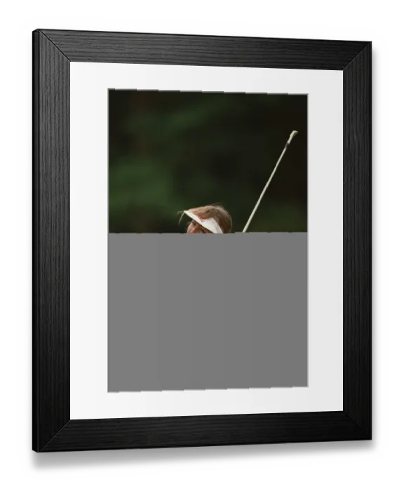 Framed Print : Catherine Panton-Lewis Framed Print : Catherine Panton-Lewis