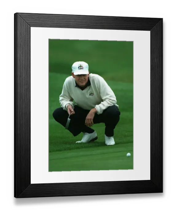 Framed Print : Lee Janzen Framed Print : Lee Janzen