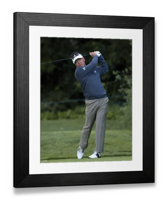 Framed Print : Charlie Wi Framed Print : Charlie Wi