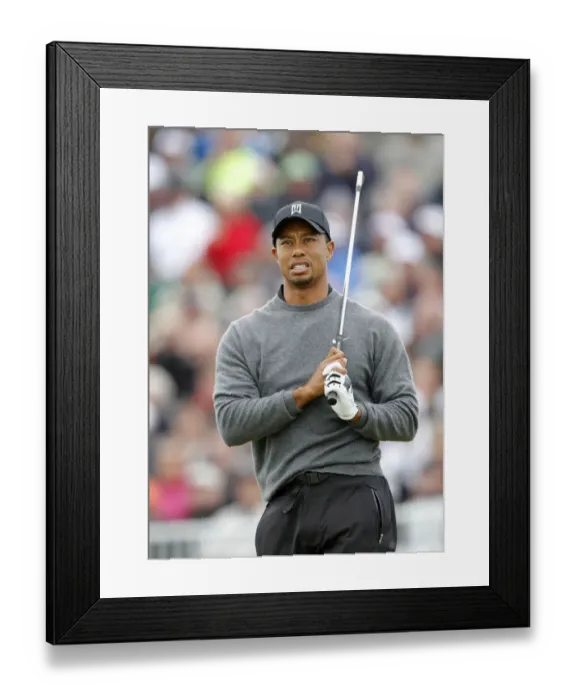 Framed Print : Tiger Woods Framed Print : Tiger Woods