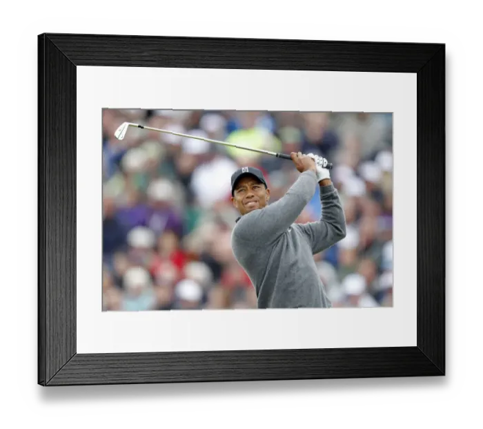Framed Print : Tiger Woods Framed Print : Tiger Woods