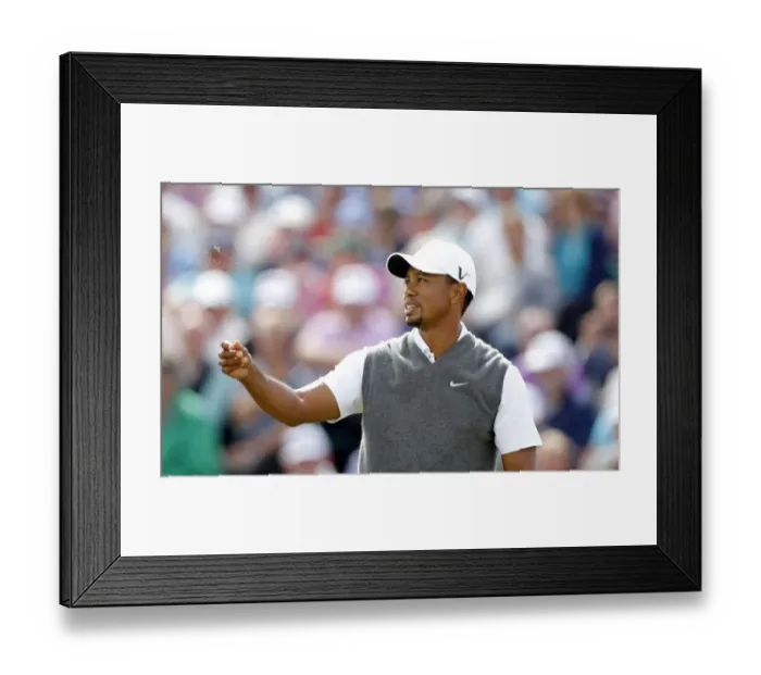 Framed Print : Tiger Woods Checks The Breeze Framed Print : Tiger Woods Checks The Breeze