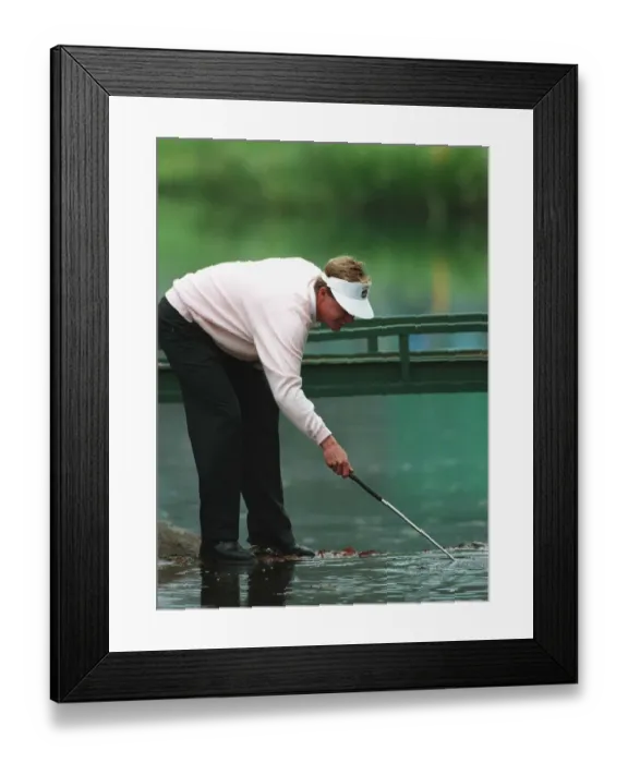 Framed Print : Joakim Haeggman Fishes Framed Print : Joakim Haeggman Fishes
