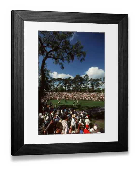 Framed Print : Tiger Woods & Crowds Framed Print : Tiger Woods & Crowds