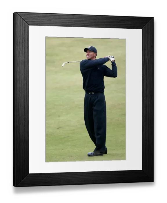 Framed Print : Tiger Woods Framed Print : Tiger Woods