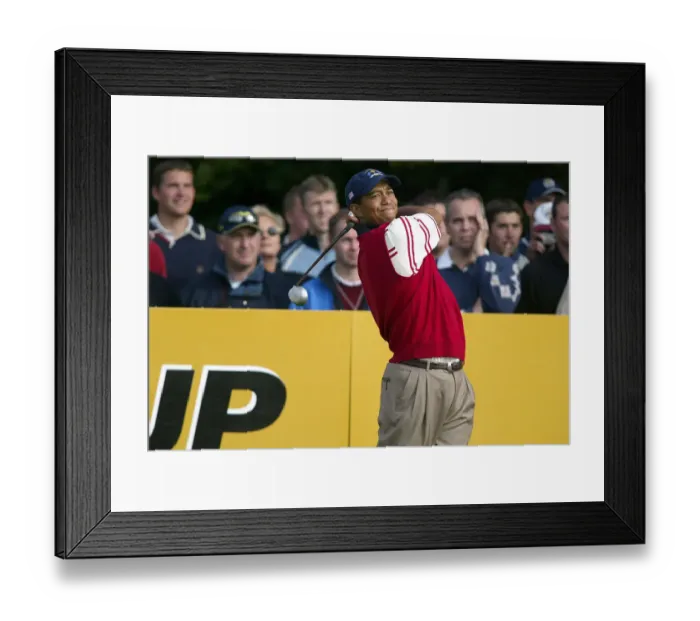 Framed Print : Tiger Woods Framed Print : Tiger Woods