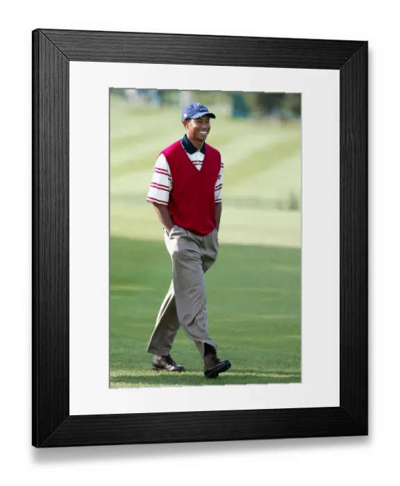 Framed Print : Tiger Woods Framed Print : Tiger Woods