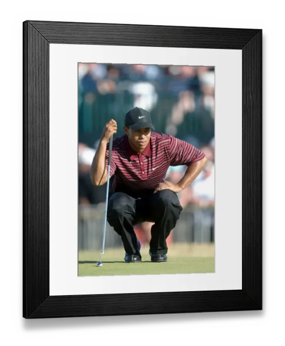 Framed Print : Tiger Woods Framed Print : Tiger Woods