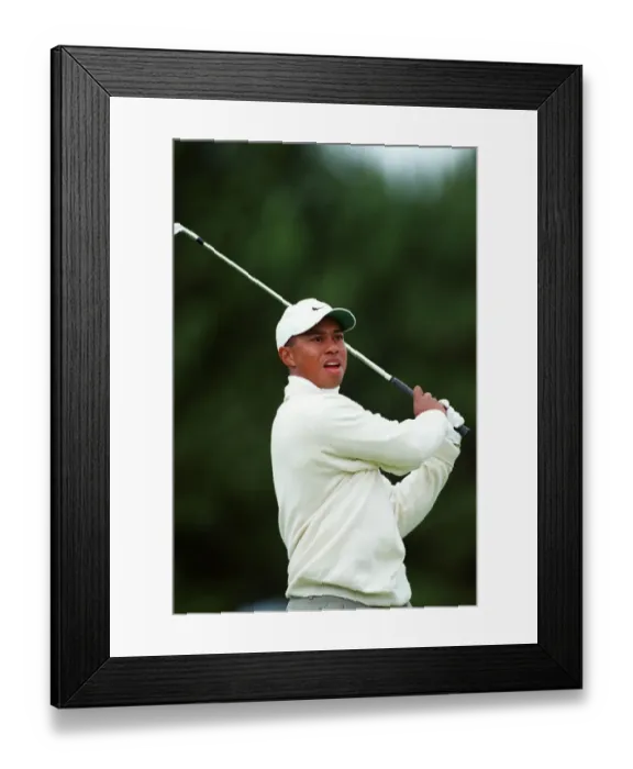 Framed Print : Tiger Woods Framed Print : Tiger Woods