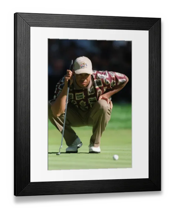 Framed Print : Tiger Woods Framed Print : Tiger Woods