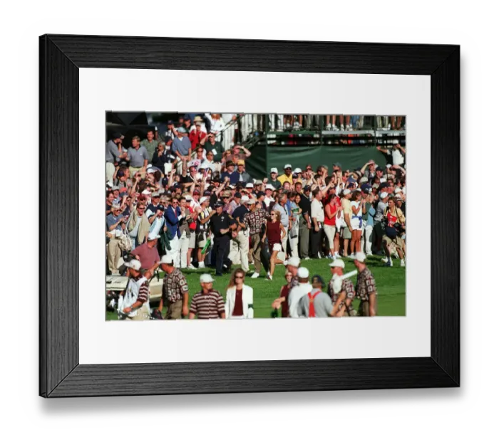 Framed Print : Tiger Woods Runs Up 18th Hole Framed Print : Tiger Woods Runs Up 18th Hole